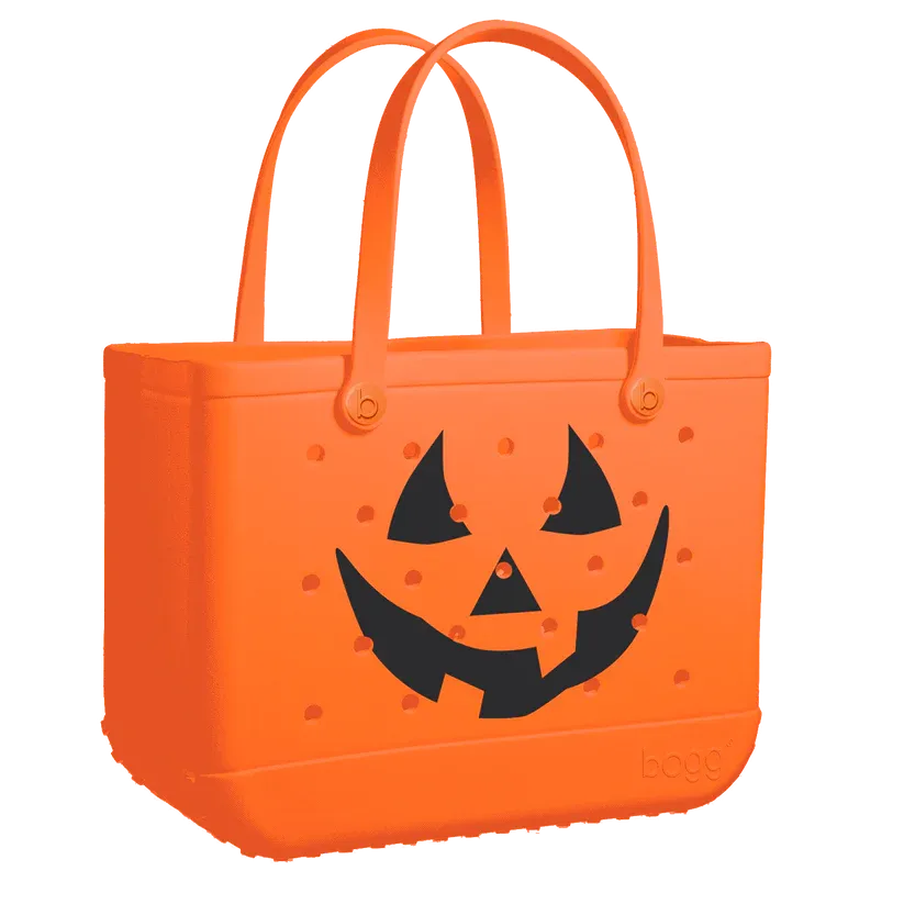 Baby Bogg Bag