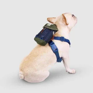 Sputnik Clean Multi-Function Blue Bag